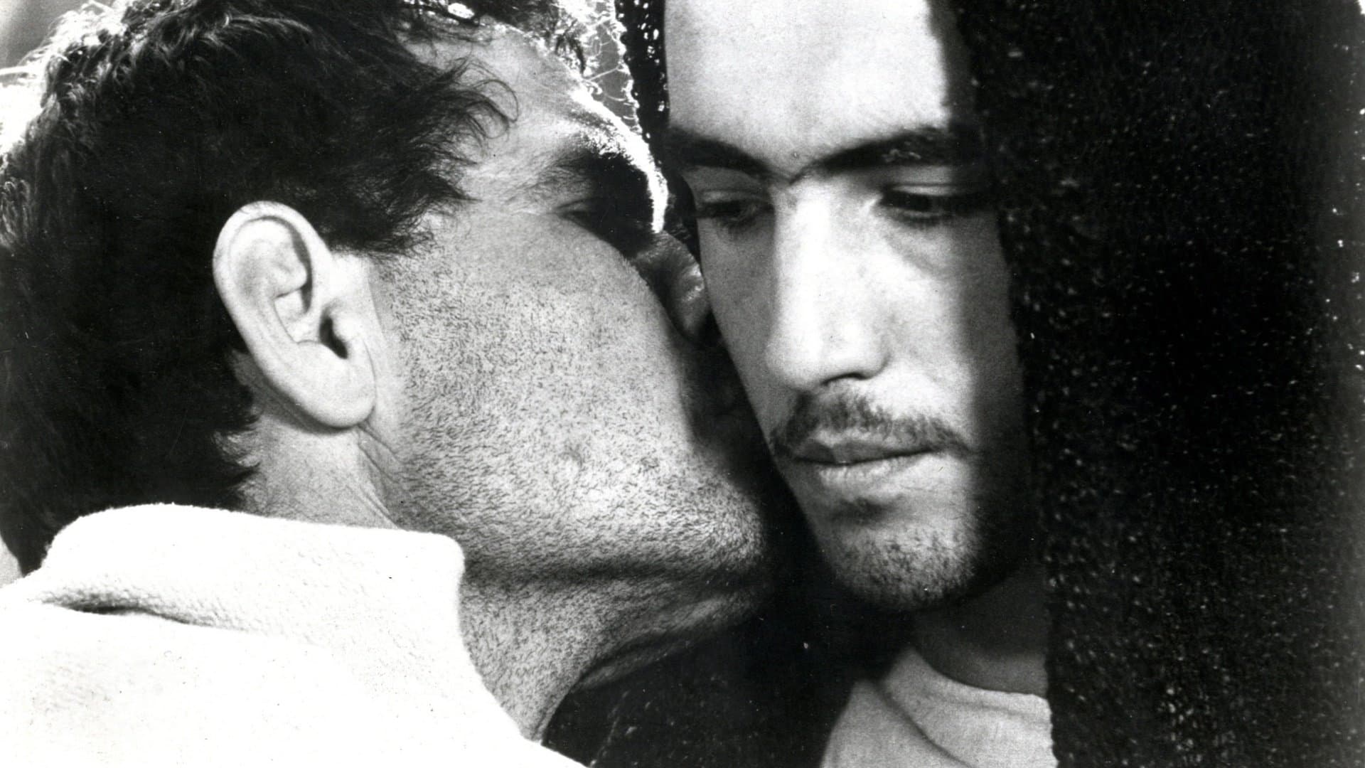 Il vangelo secondo Matteo