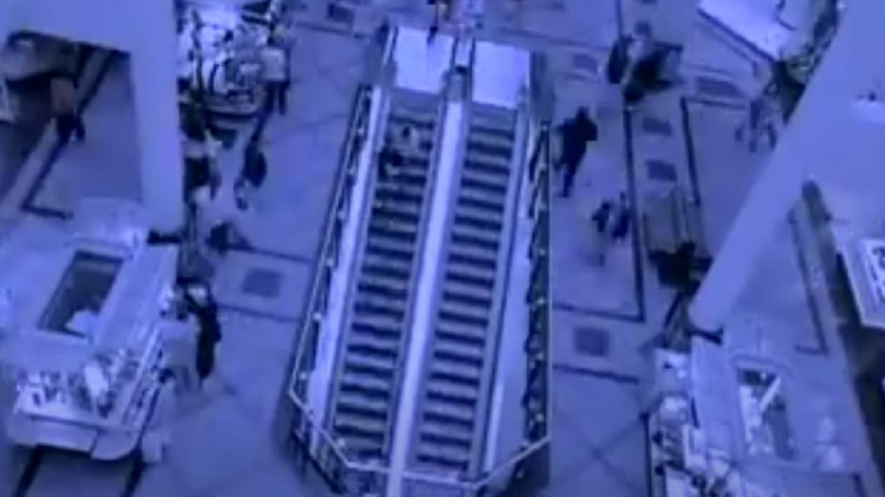 Costruire l'impossibile