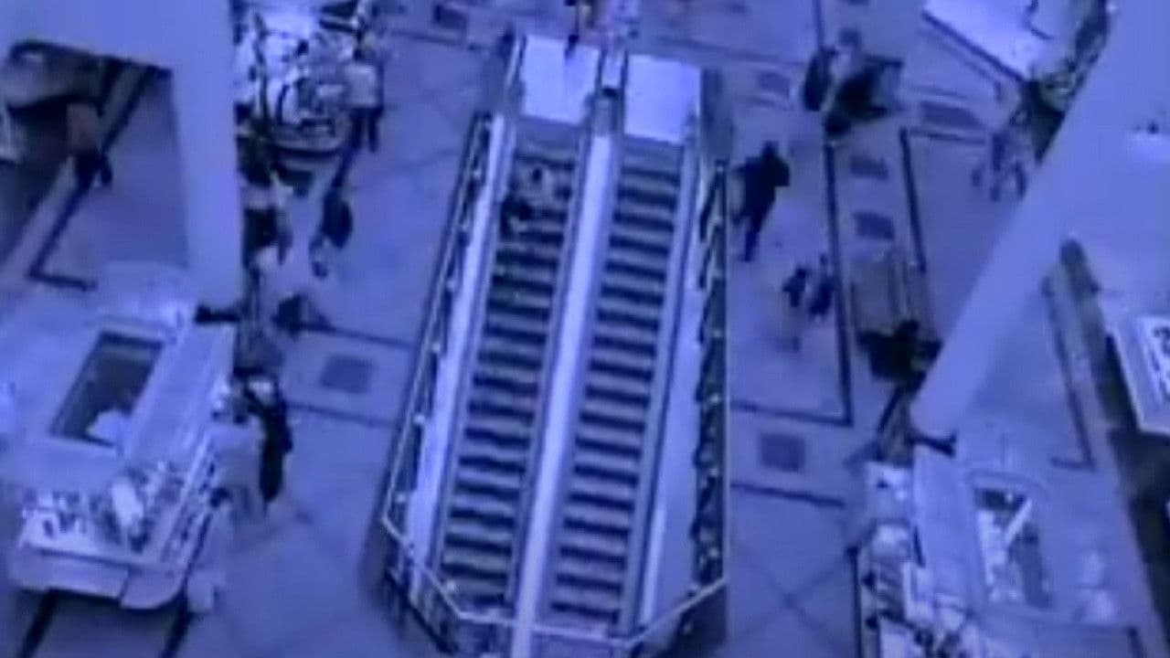 Costruire l'impossibile