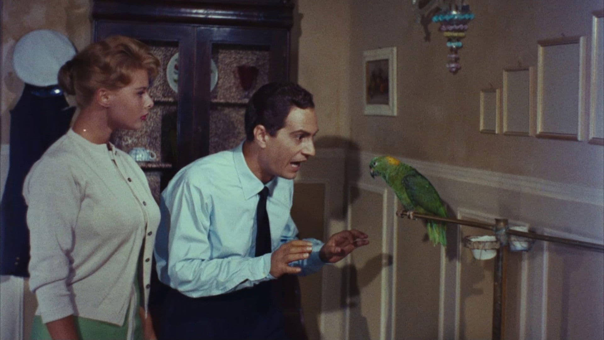 Veneția, luna și tu!