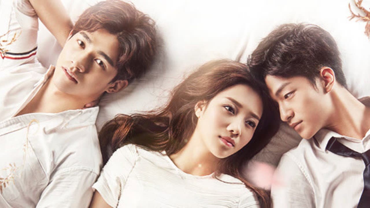 我的朋友陈白露小姐