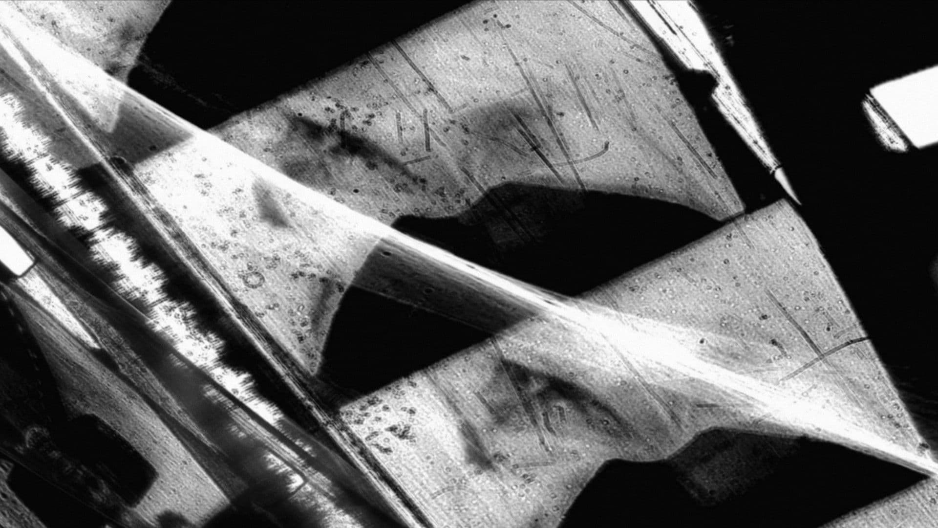 Window of the World Part 1: Hairstyle Colidascope