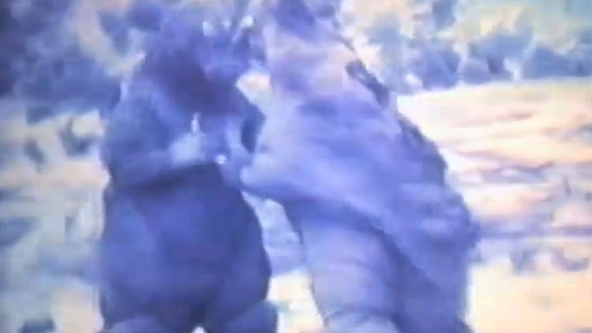 ゴジラ対地底怪獣パゴス