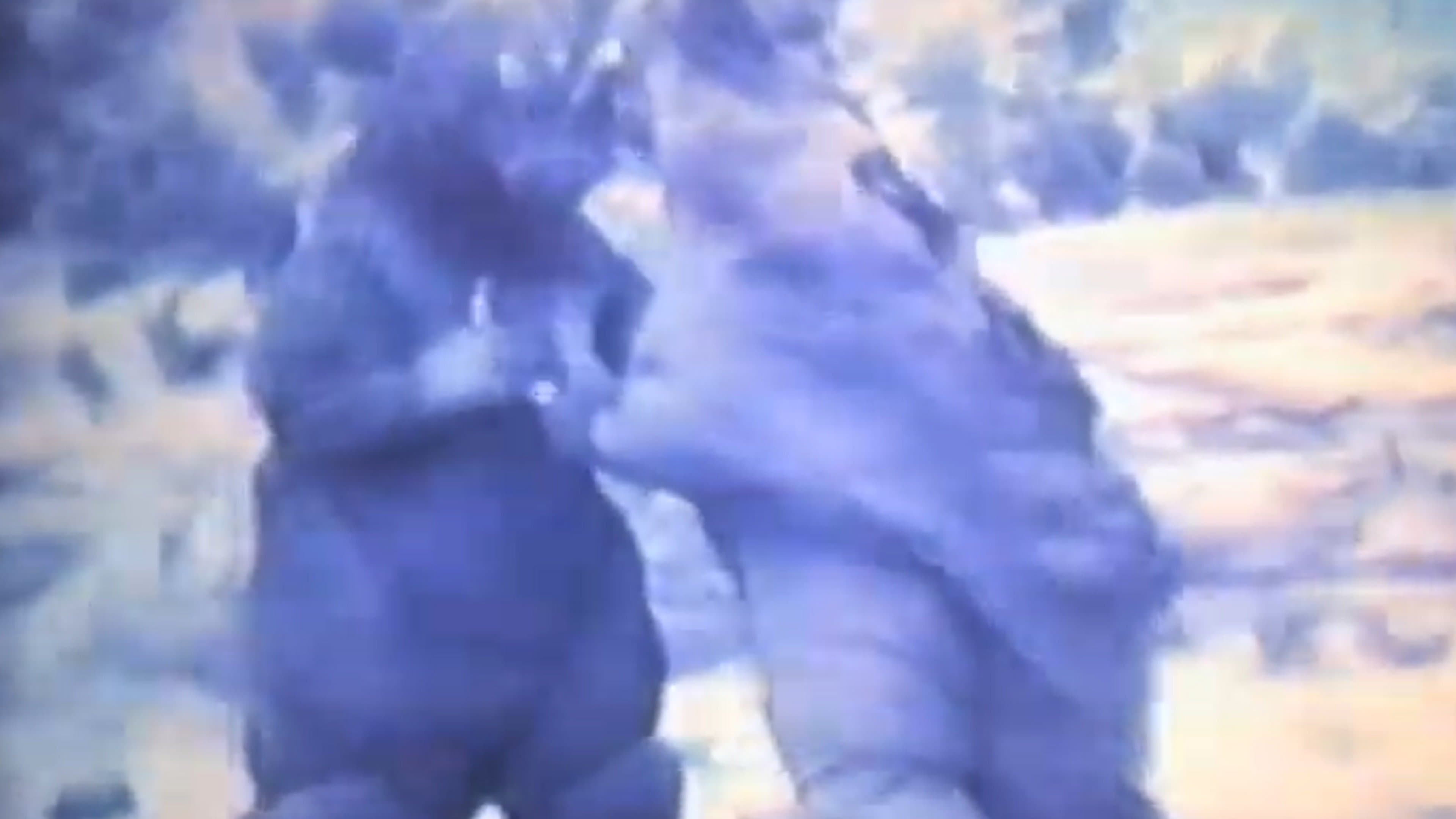 ゴジラ対地底怪獣パゴス