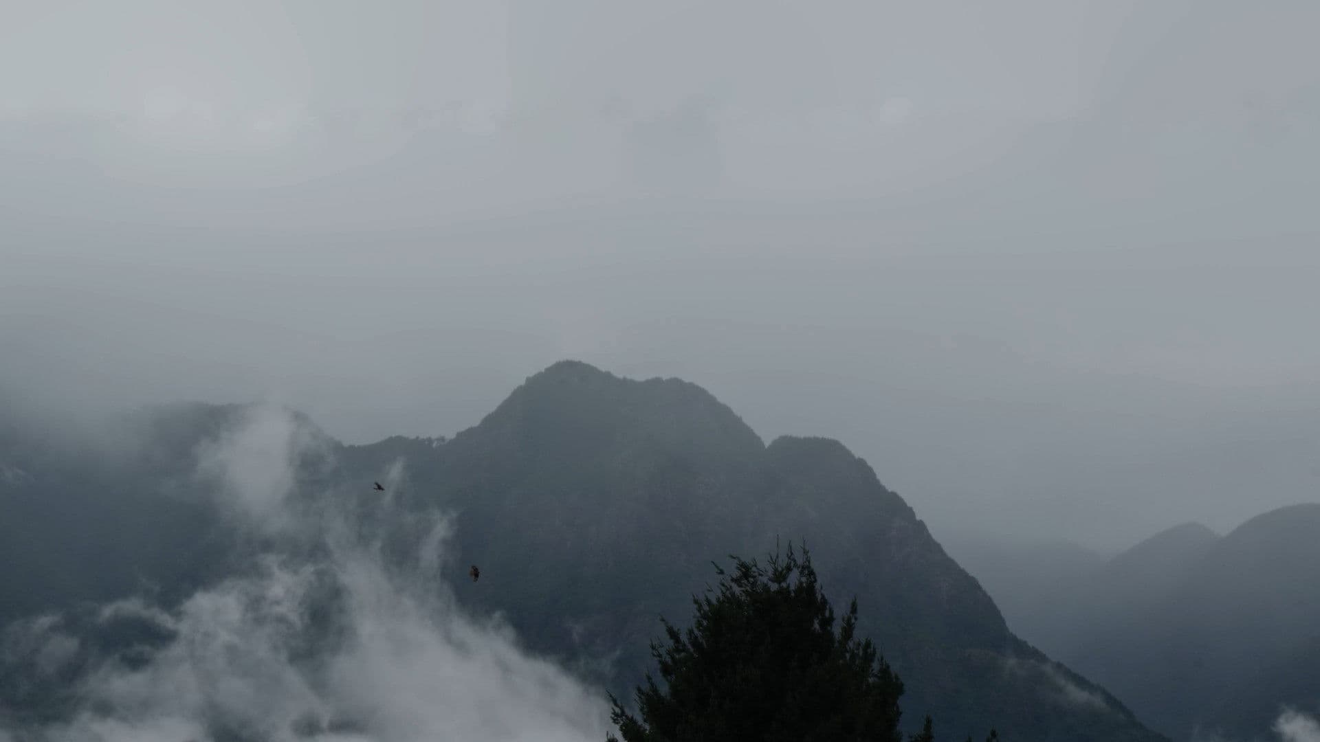 Los niños sin tierra