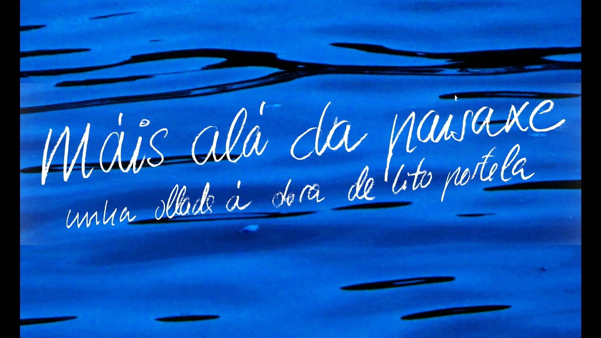 MÁIS ALÁ DA PAISAXE. Unha ollada á obra de Lito Portela