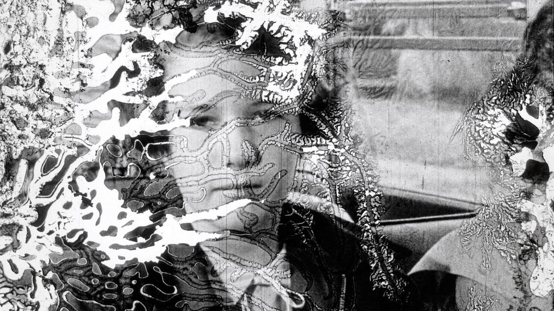 Decasia: The State of Decay