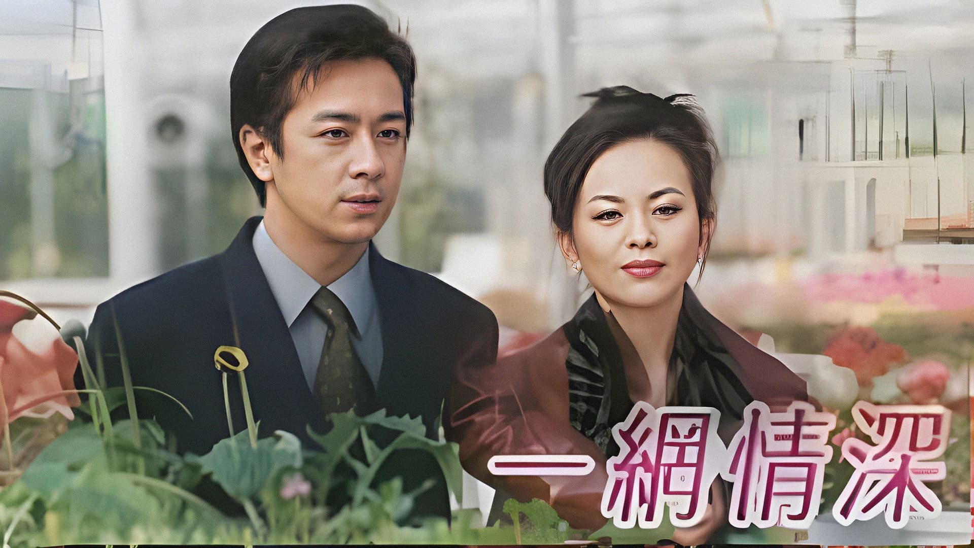 一網情深
