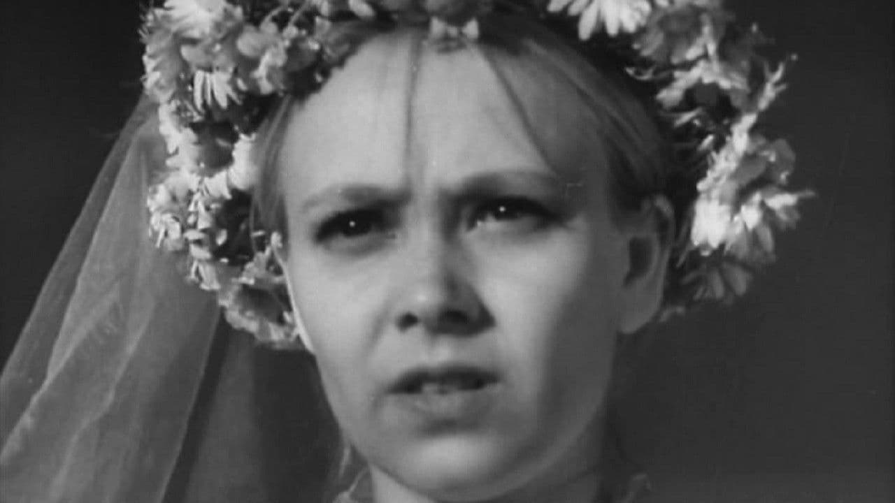 Драма в цирюльне