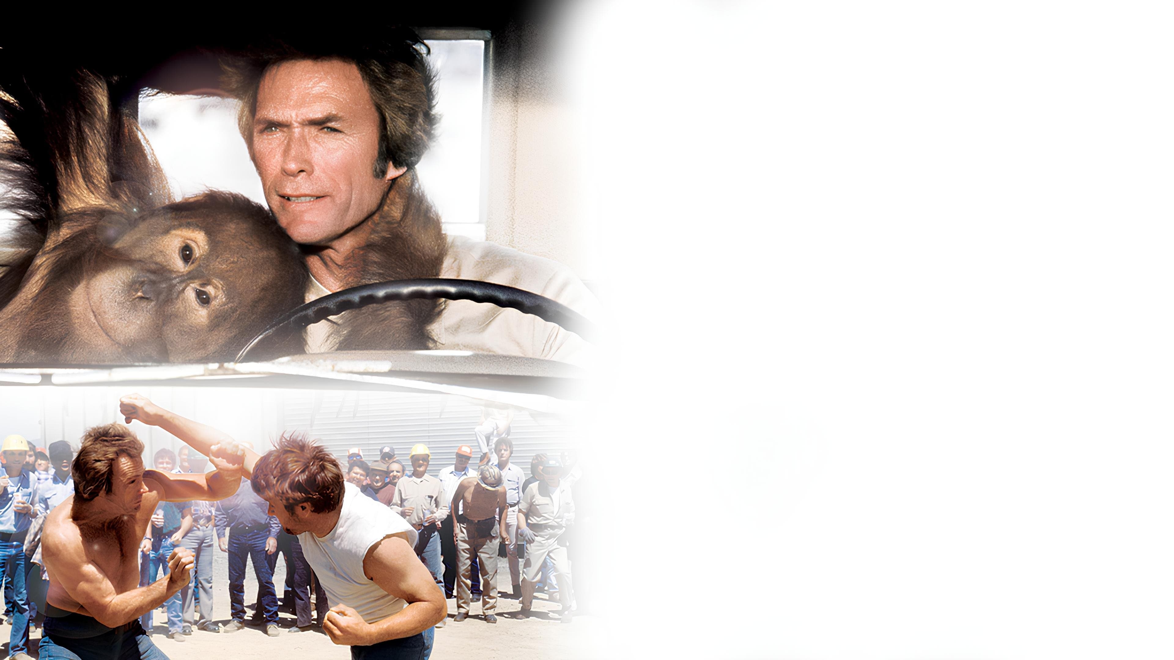 Pe oriunde, dar șterge-o!