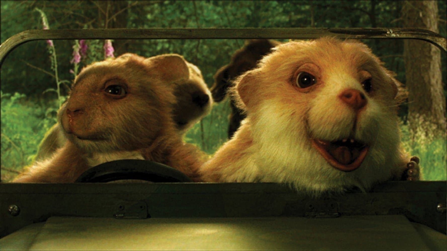 Povești de pe malul râului