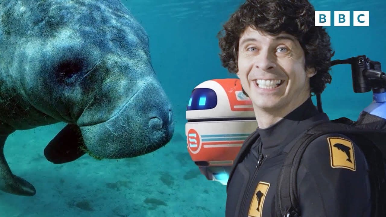 Andy's Global Adventures