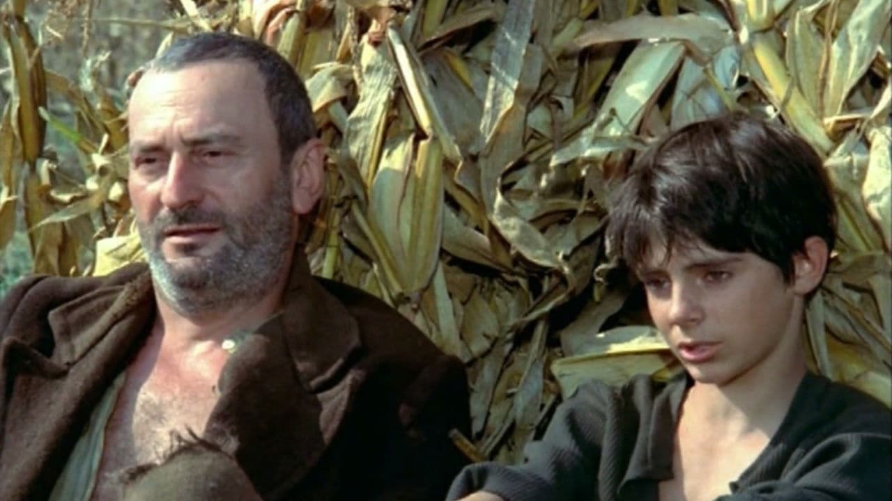 Atunci i-am condamnat pe toți la moarte