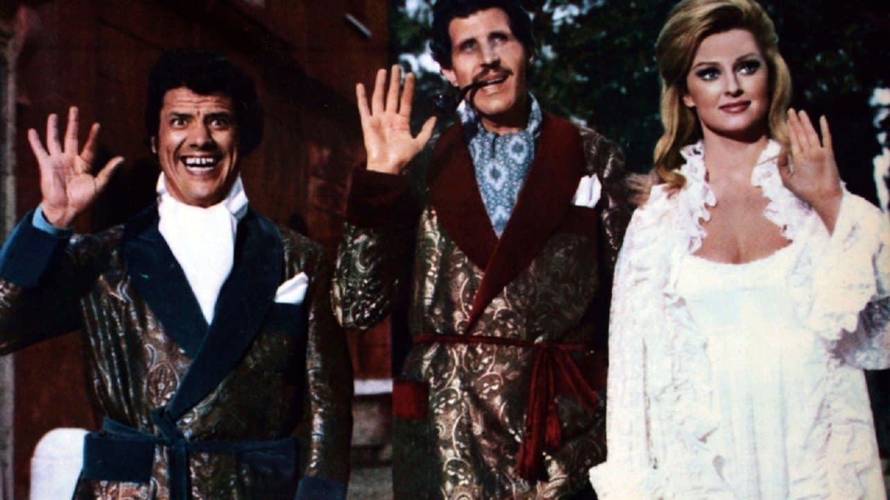 Il lungo, il corto, il gatto