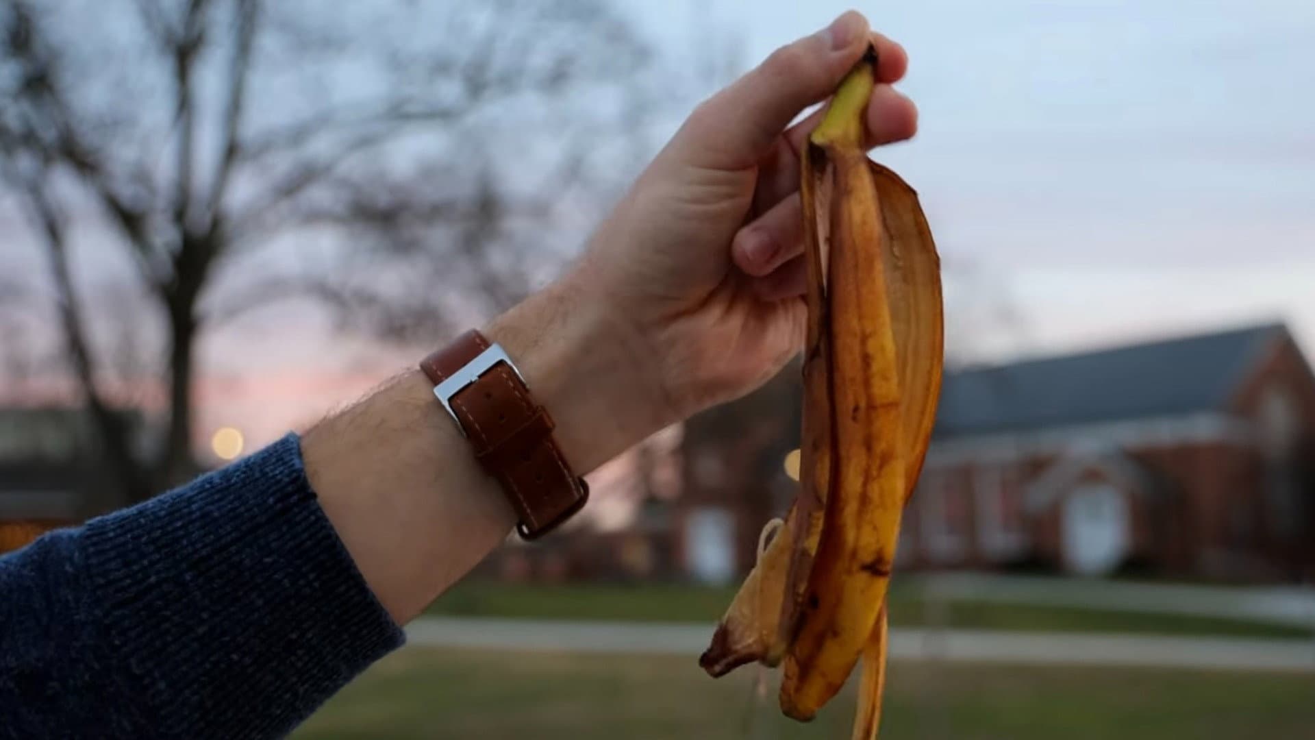 Banana