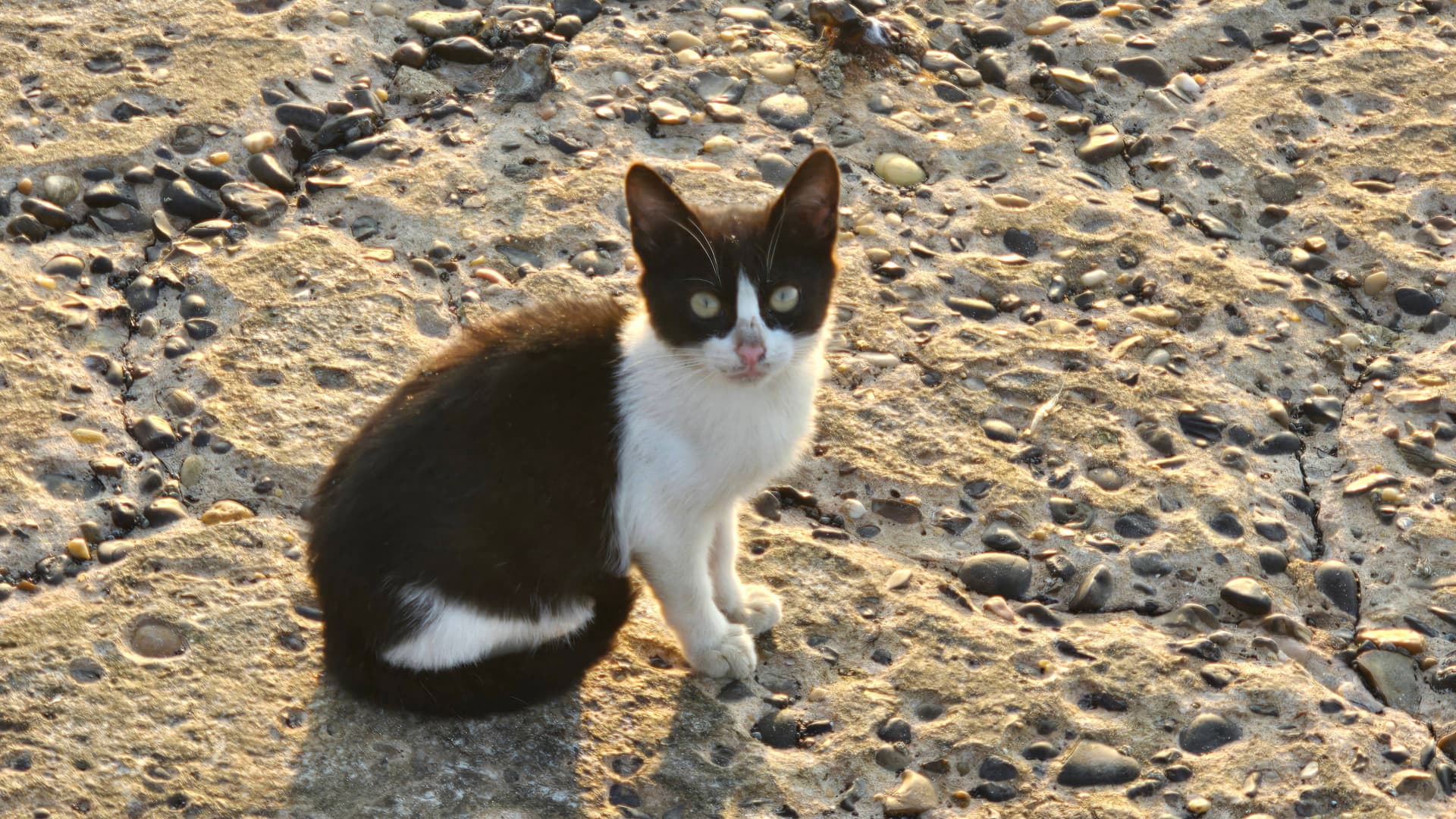 قصائد حب الجزء الثاني: الإسكندرية