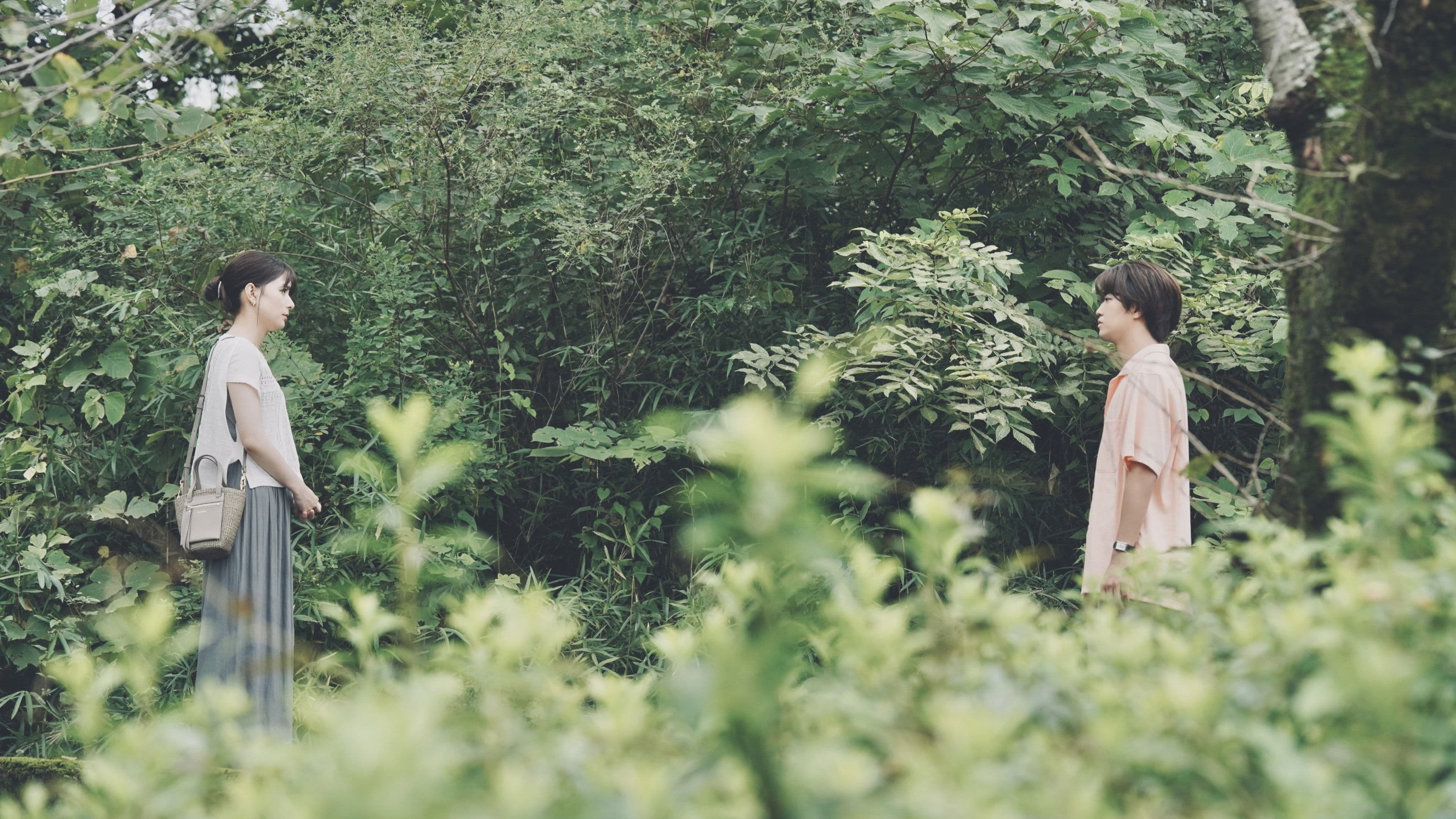 君の顔では泣けない