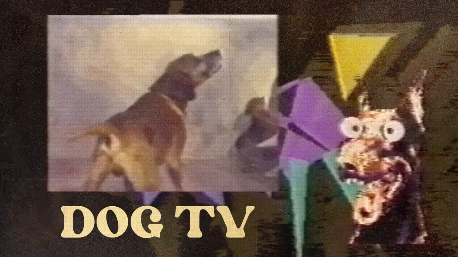 Dog TV