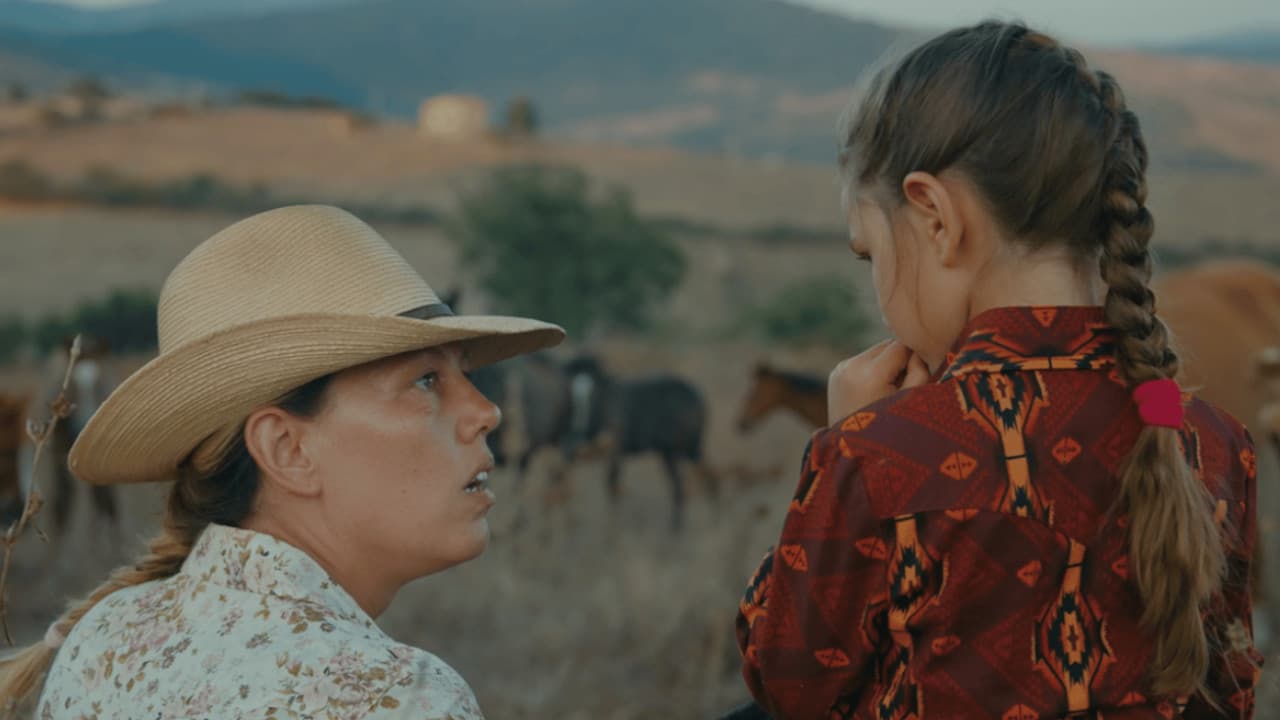 Cose che accadono sulla terra