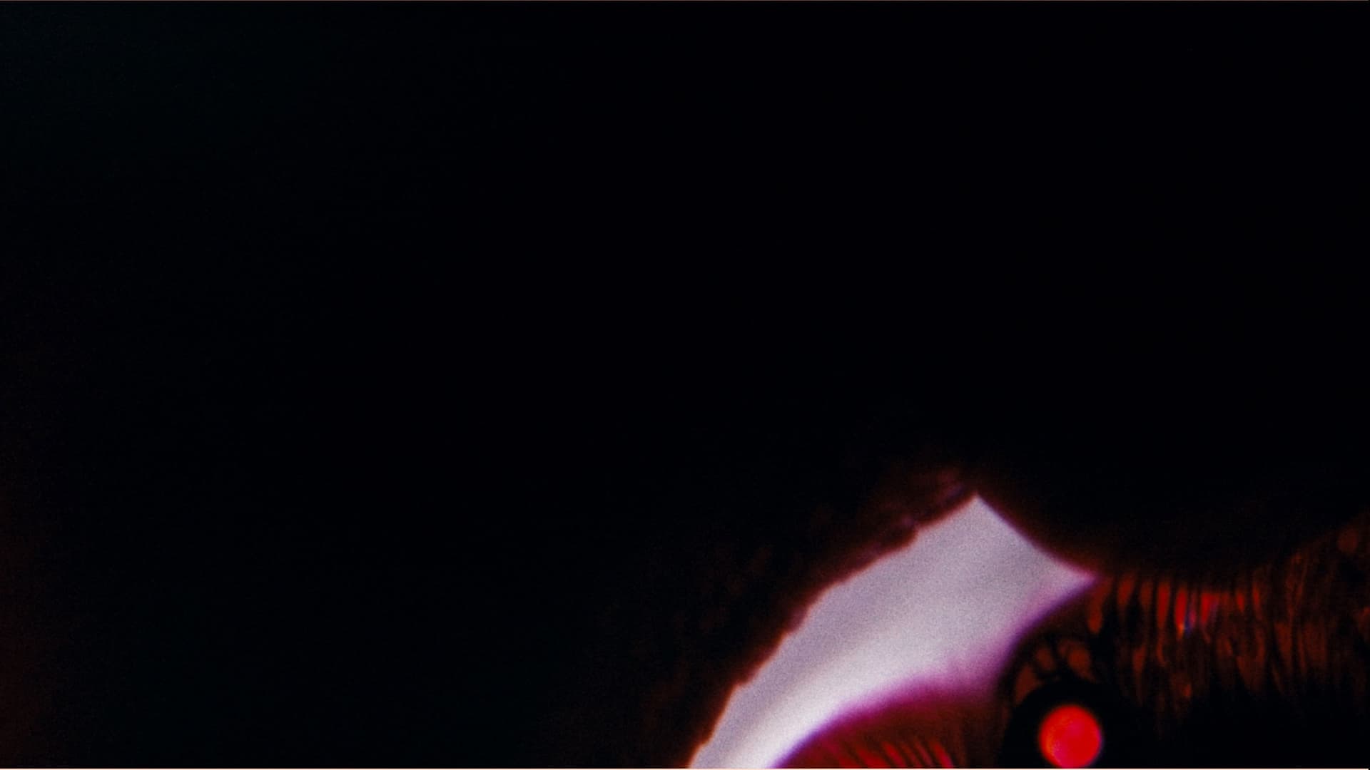 Bela Belara's A Vampire