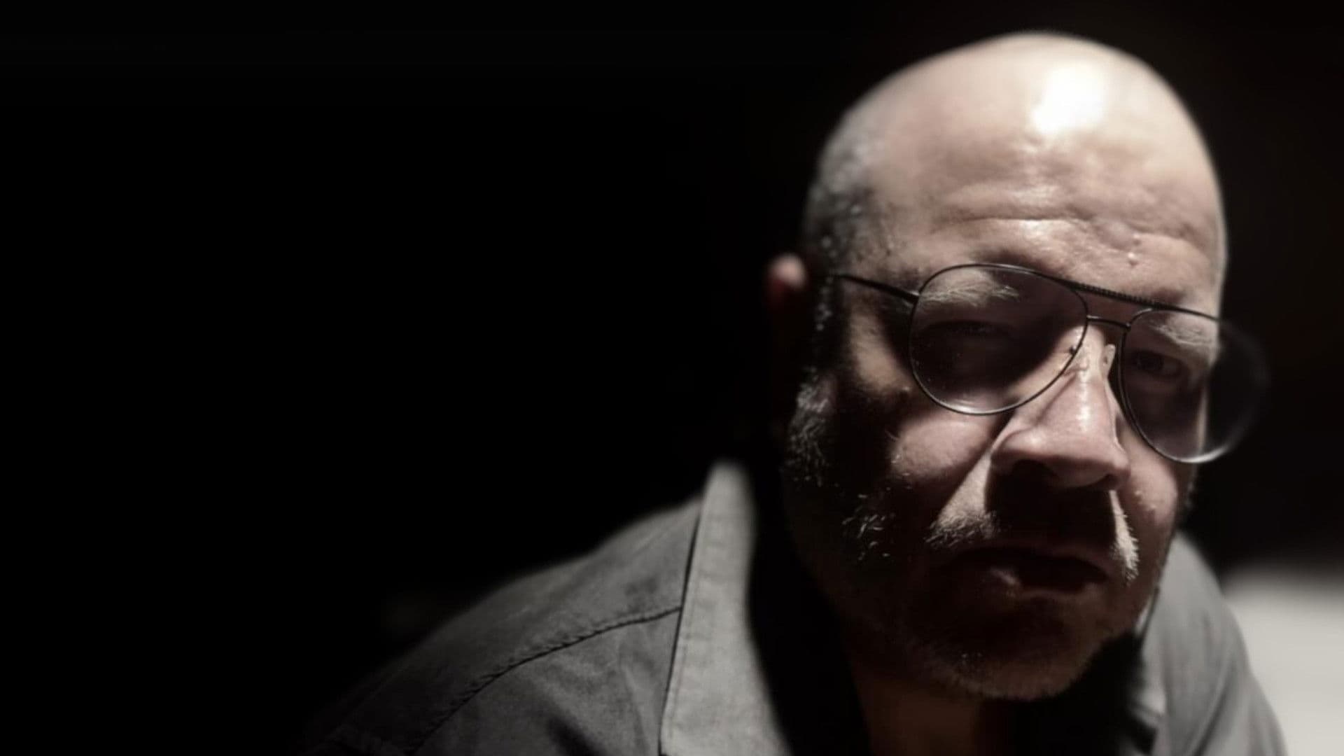 Las sombras también tienen alas