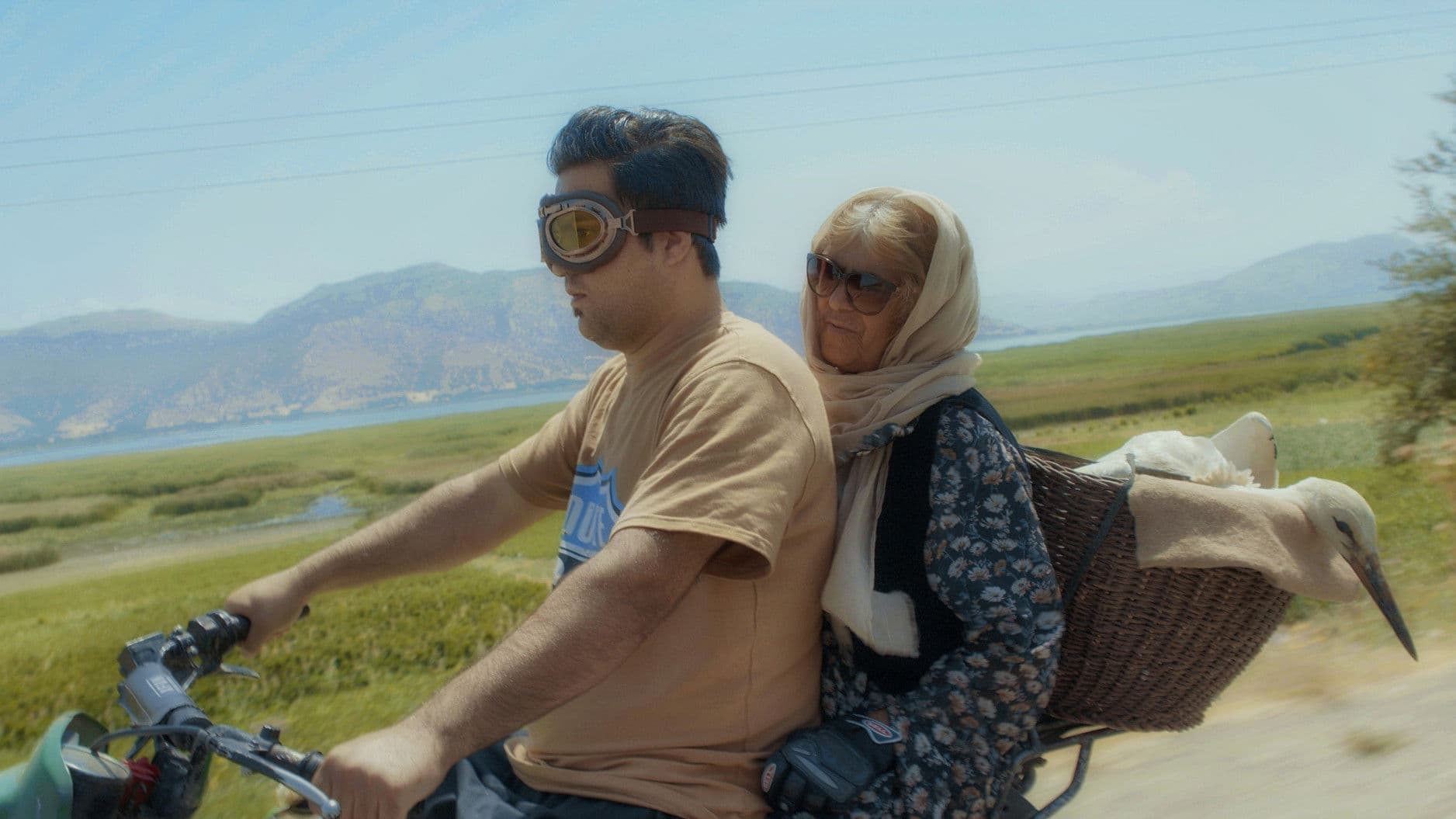 ئاوازی باڵەکان