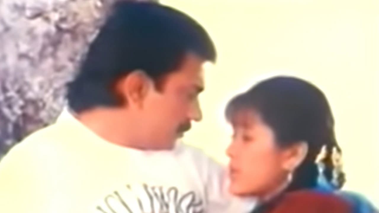 दाईजो