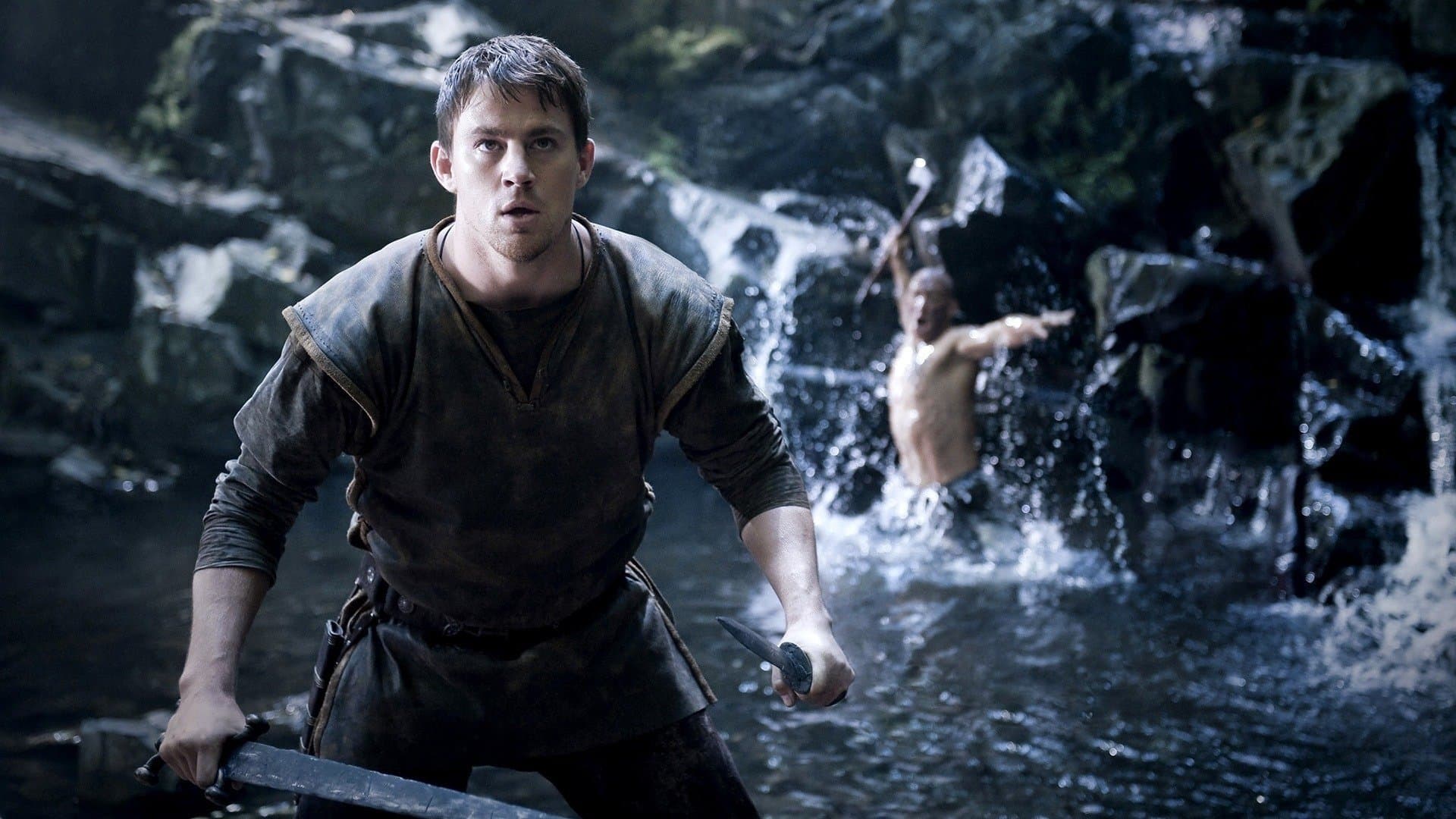 Acvila legiunii a IX-a