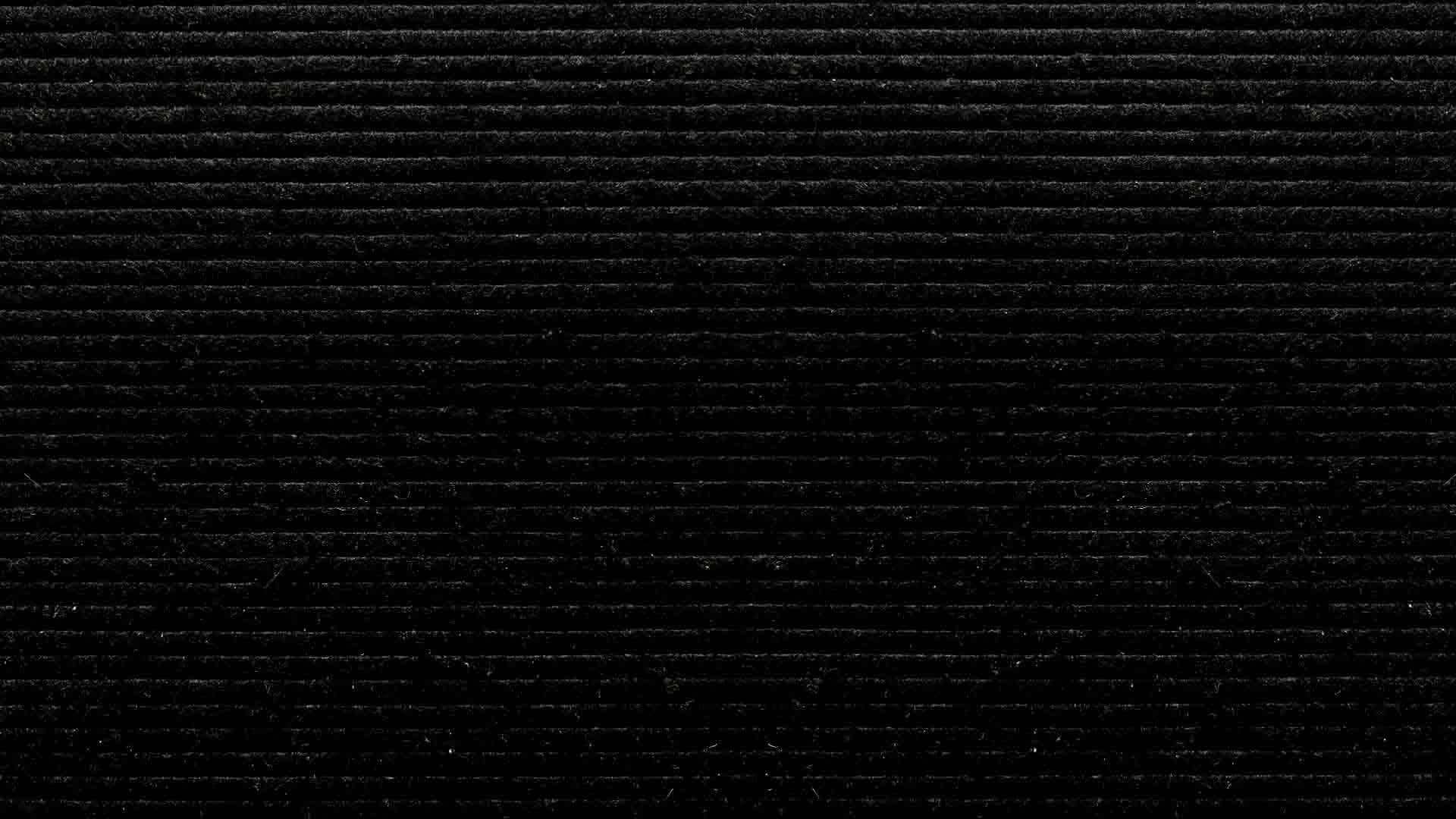 Celebrity Substitute