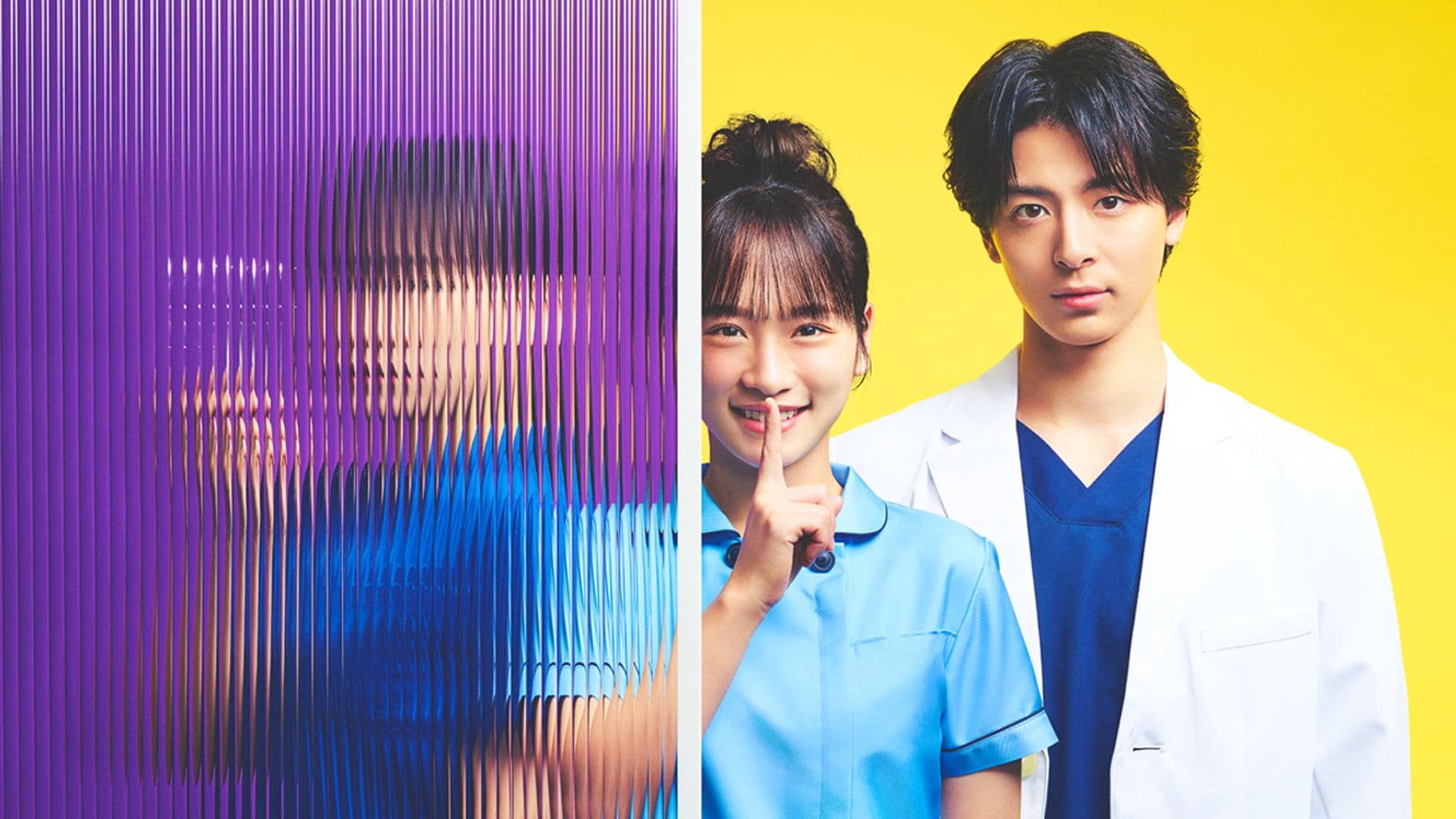 となりのナースエイド