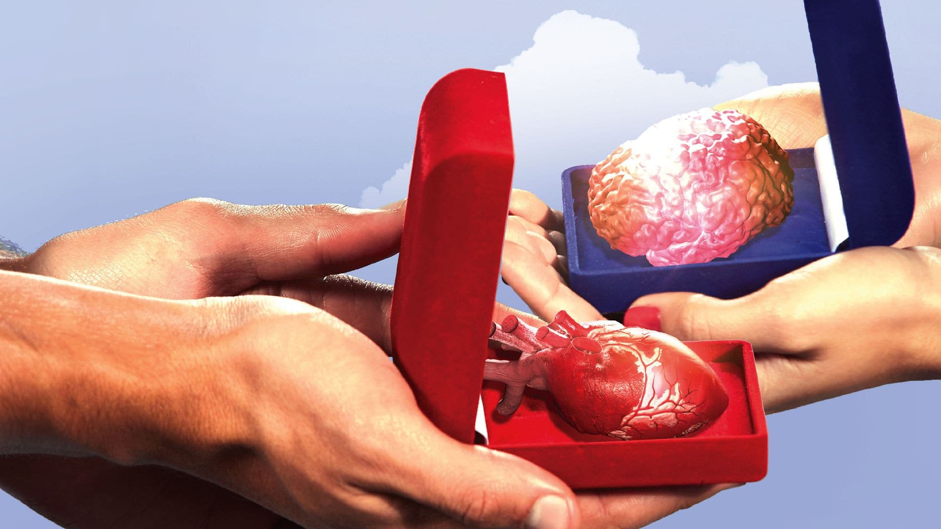 Are You the One? El match perfecto