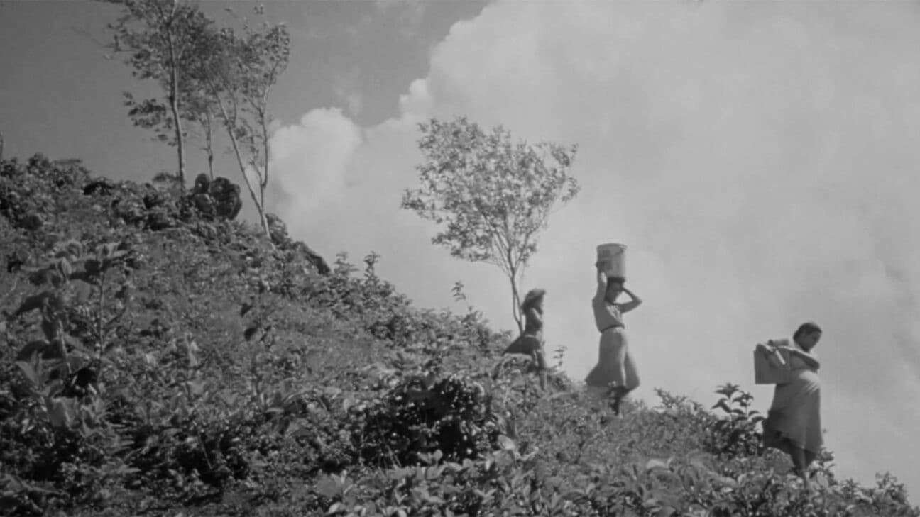 Todo parecía posible