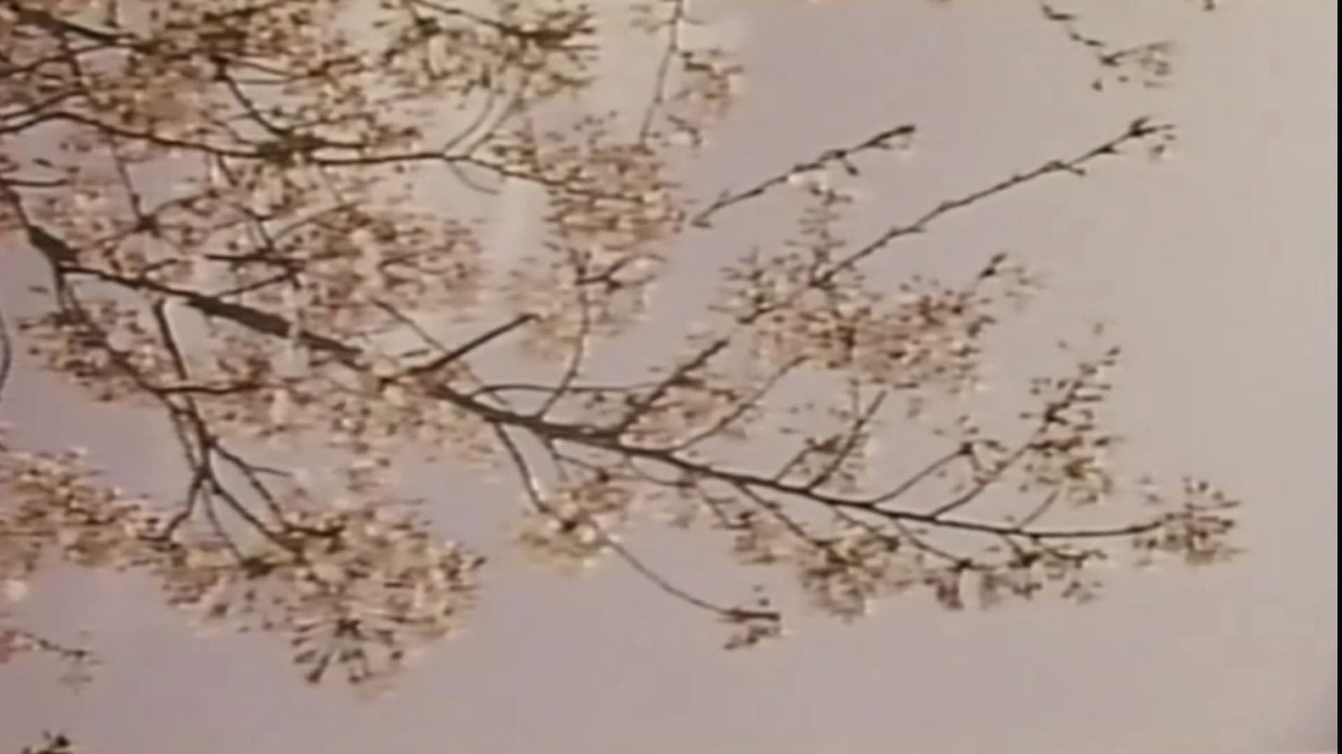 若奥様　太股びらき