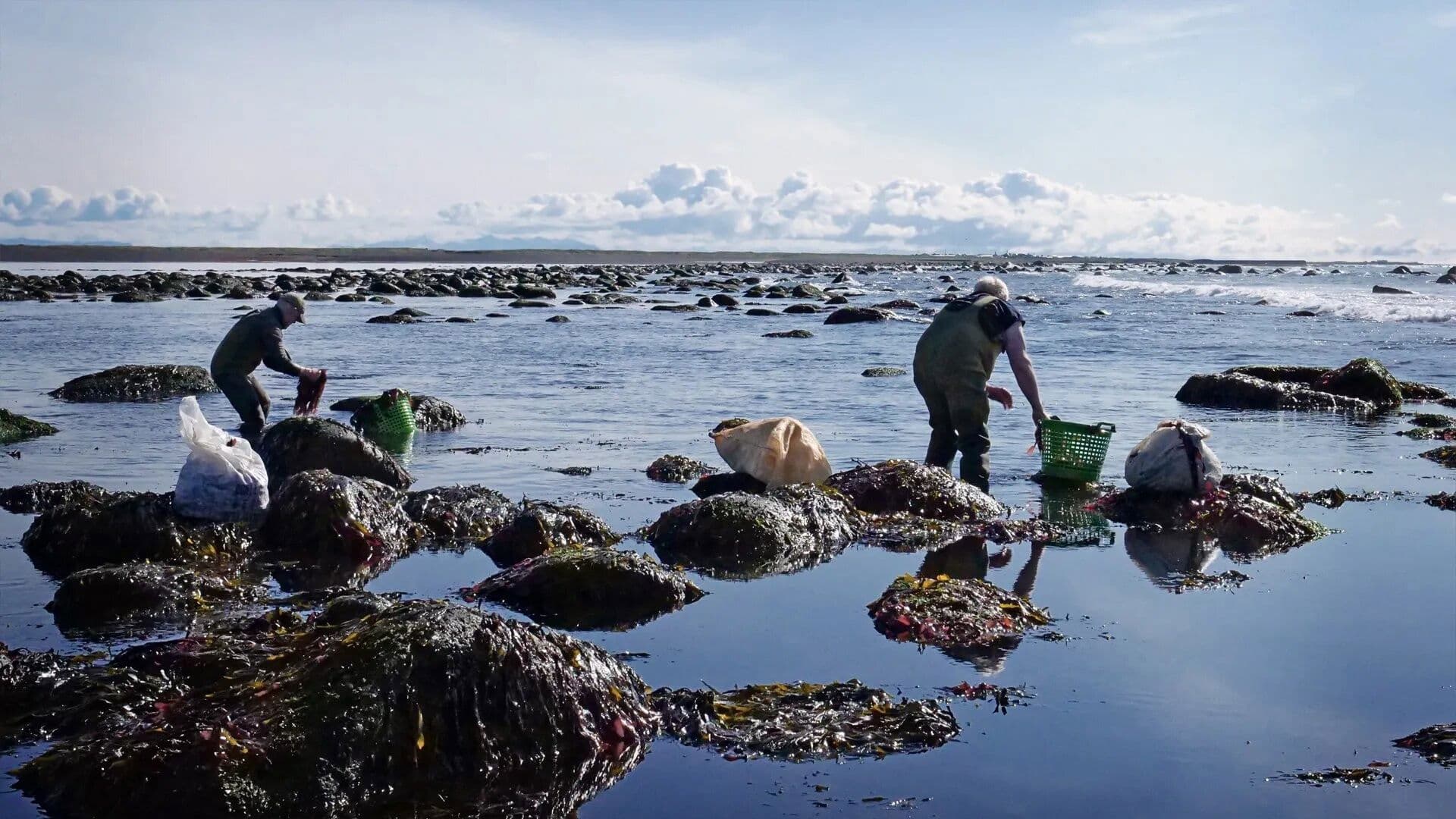 Gósenlandið - íslensk matarhefð og matarsaga