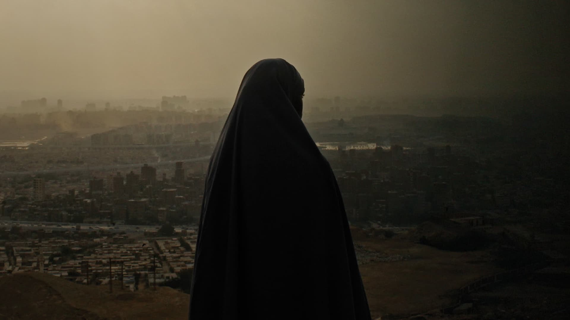 عائشة لا تستطيع الطيران