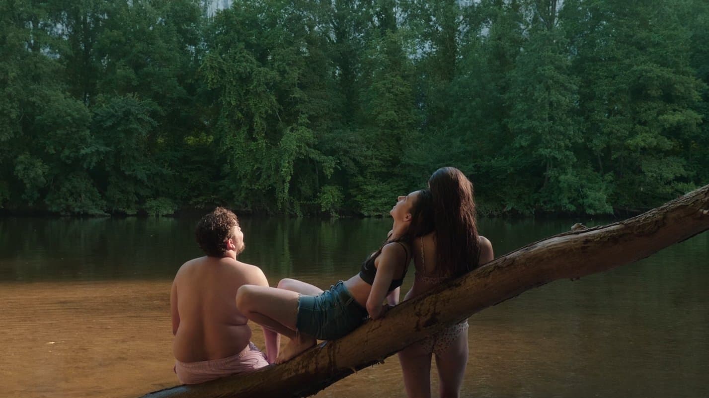 Paysage aux torchons