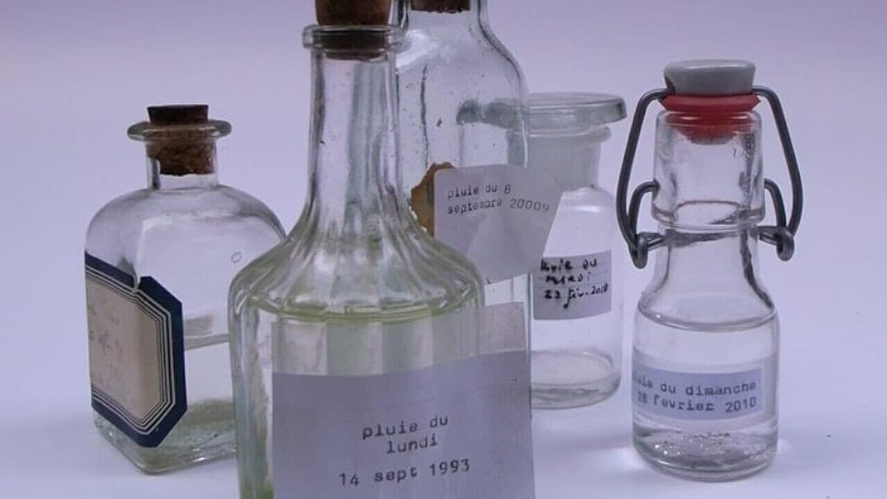 Exercices de disparition