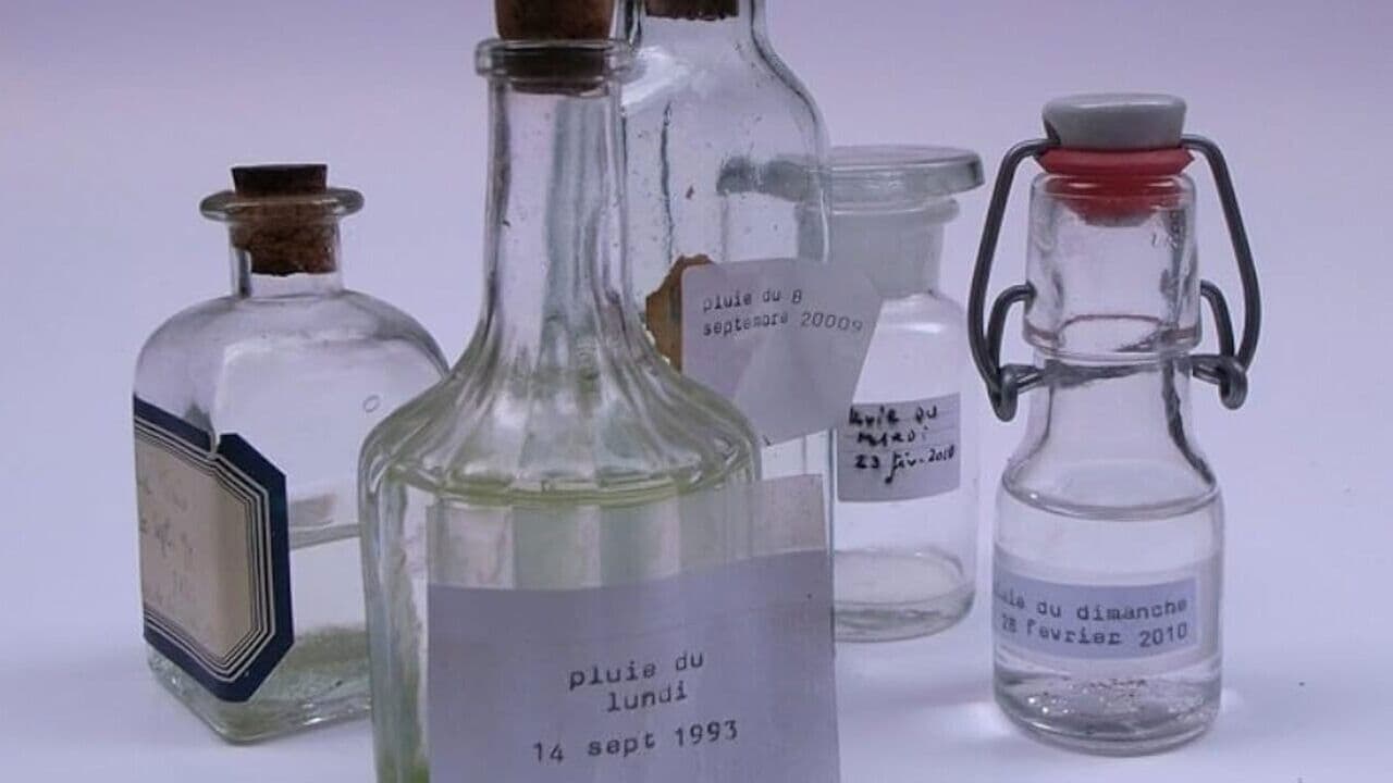 Exercices de disparition