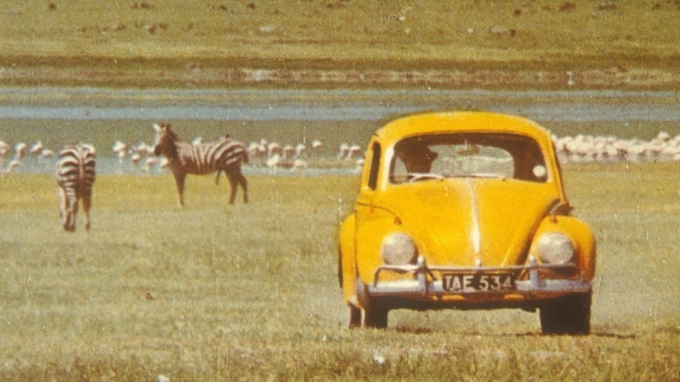 Ein Käfer geht auf's Ganze