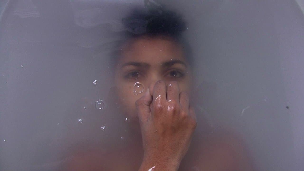 Krokodile ohne Sattel