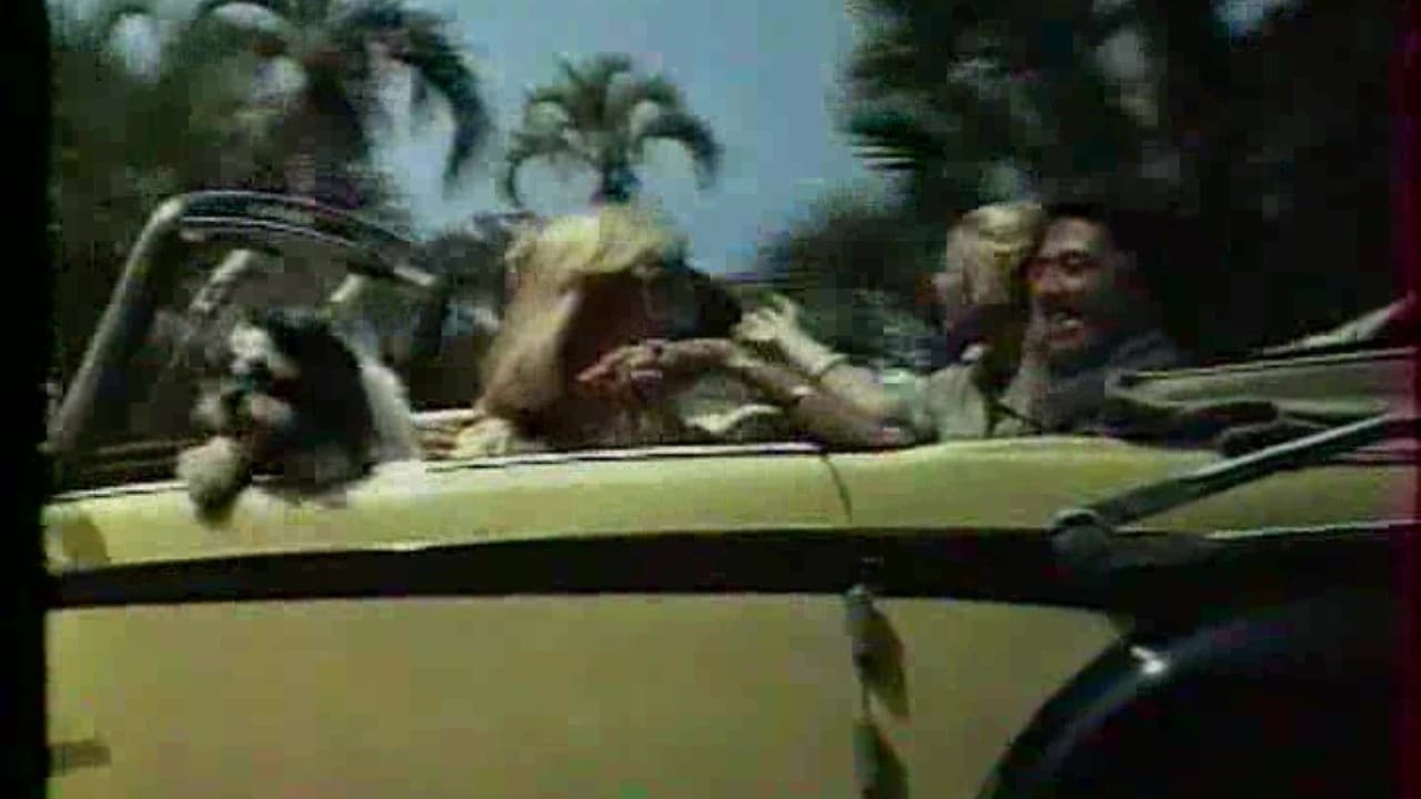 Pilska Julia på bröllopsresa!