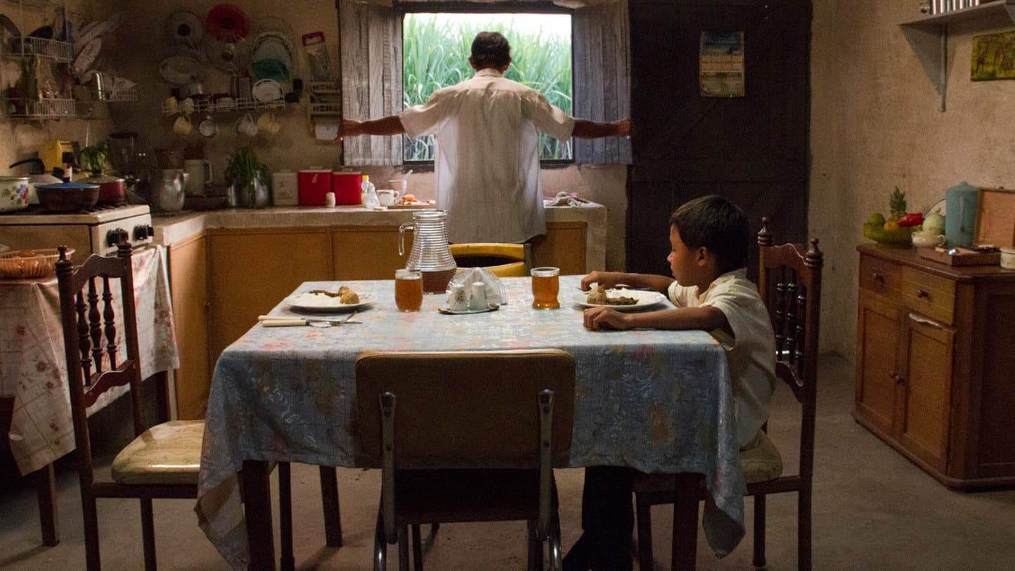 La tierra y la sombra