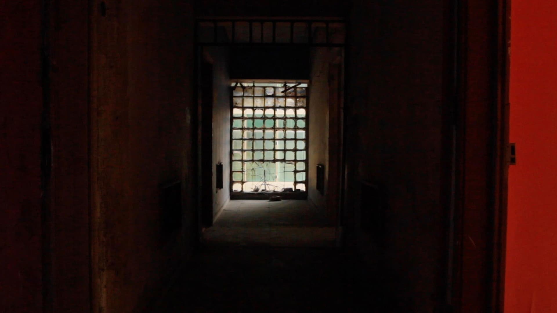 There Is No Light Inside the Mirror