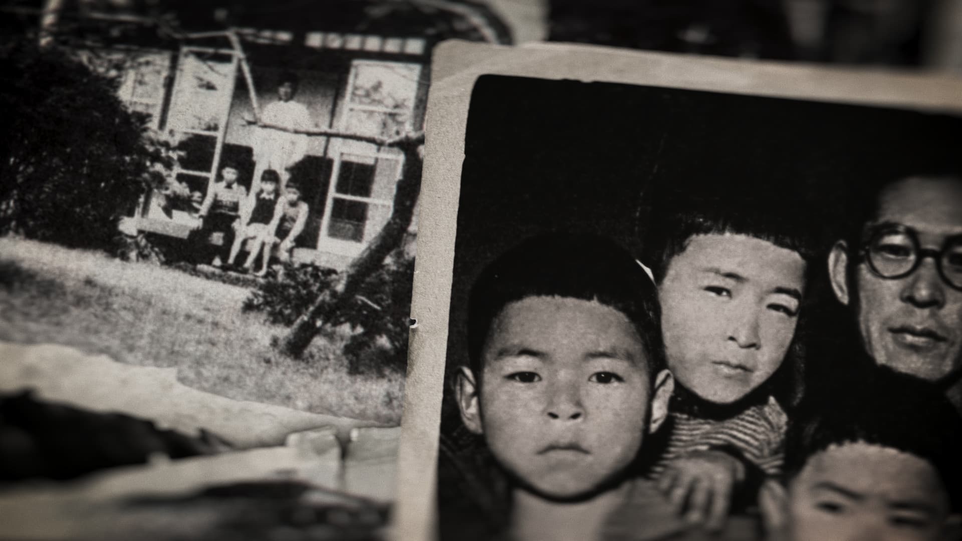 Miyazaki, l'esprit de la nature