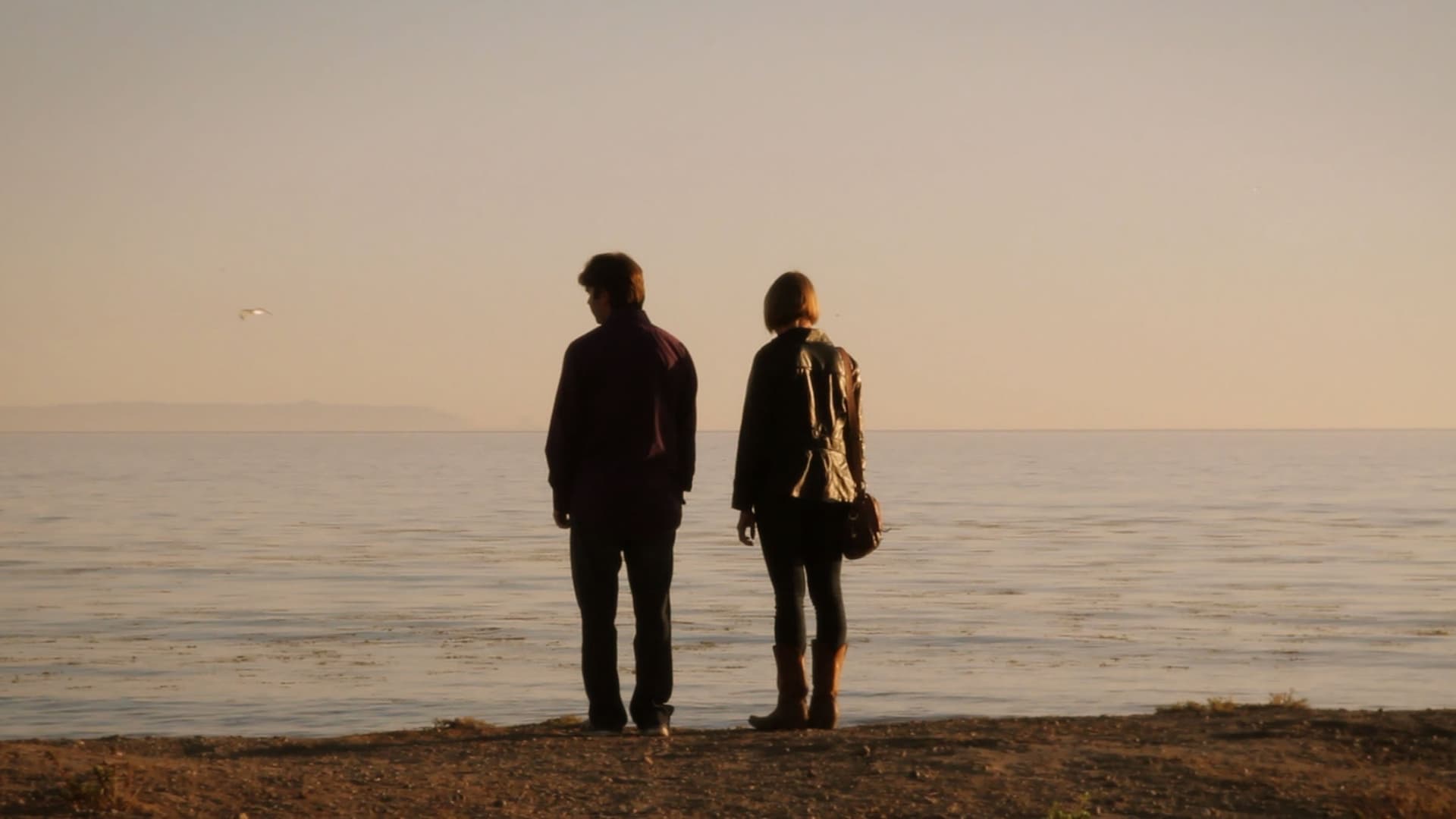 Cel mai rău an din viața mea