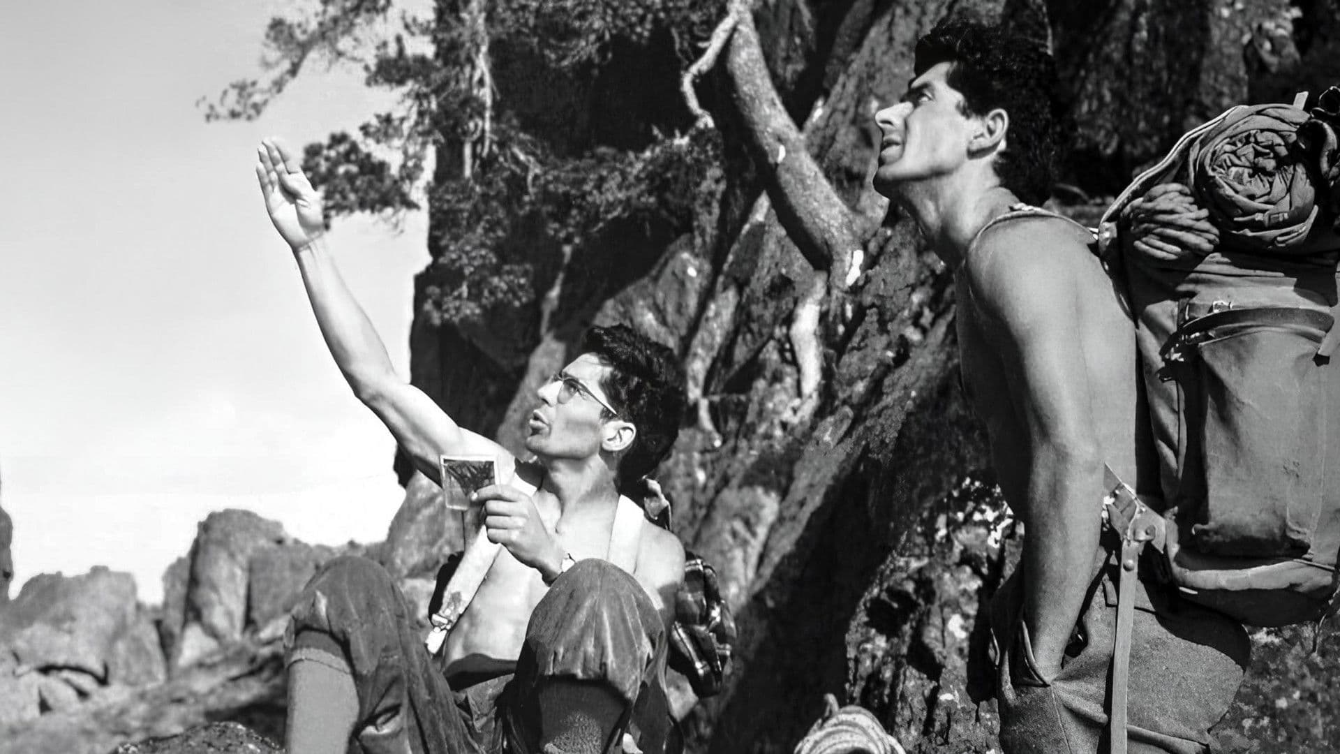 Les Frères Ravier - L’Aventure Pyrénéenne