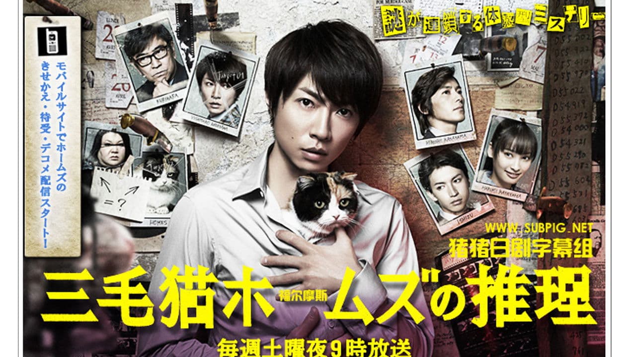 三毛猫ホームズの推理