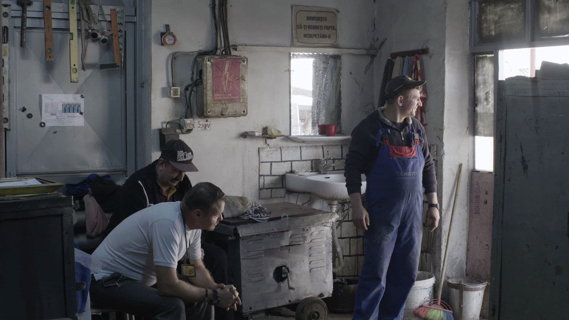 Munca noastră cea de toate zilele