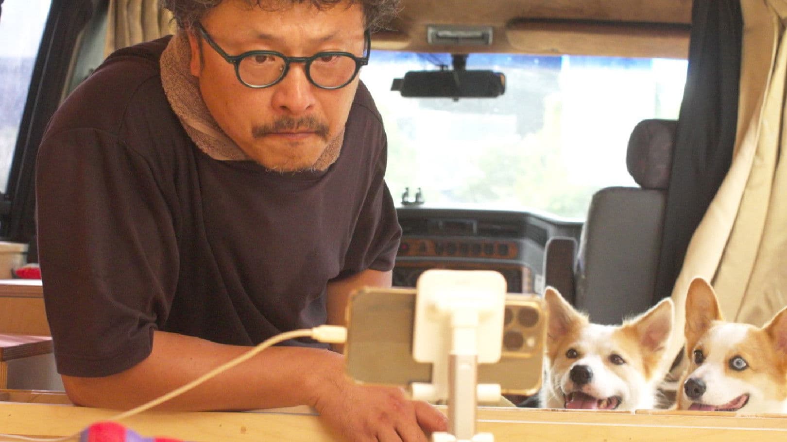 노르웨이산 고등어