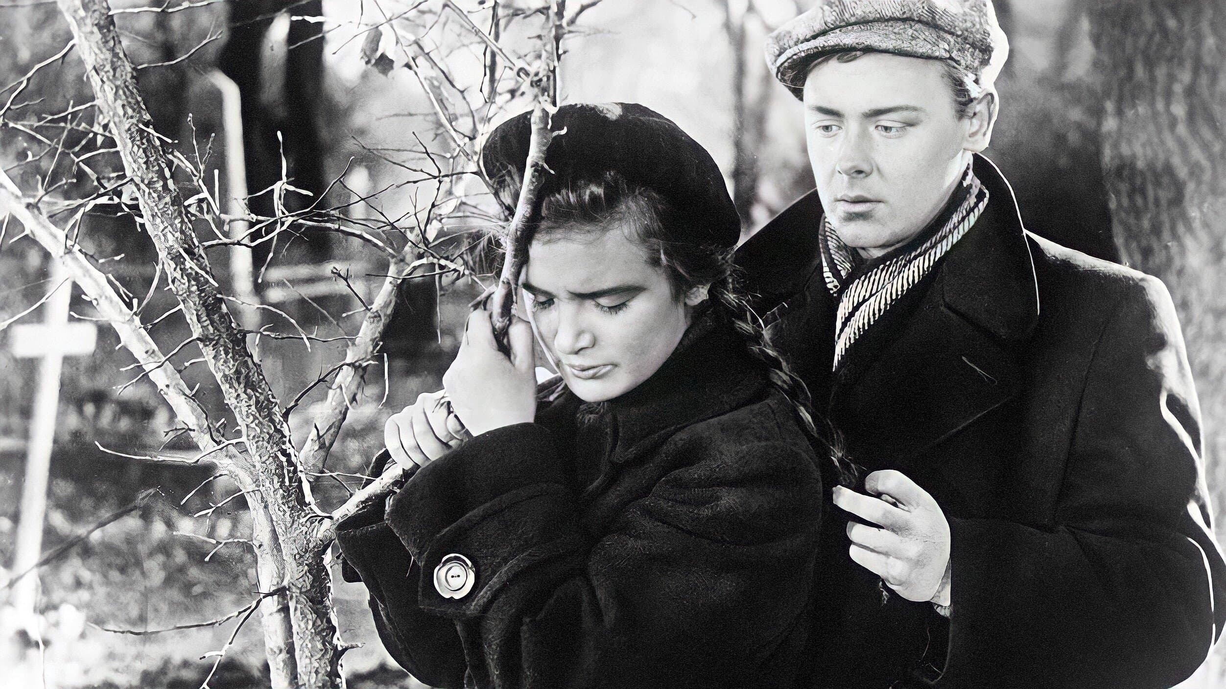 Повесть о первой любви